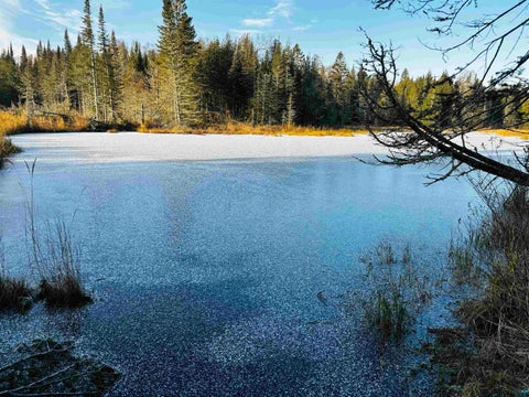 Tiny photo for 3382 God's Wilderness Rd, Finland, MN 55603 (MLS # 6127844)