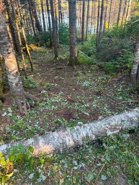 Tiny photo for 3382 God's Wilderness Rd, Finland, MN 55603 (MLS # 6127844)