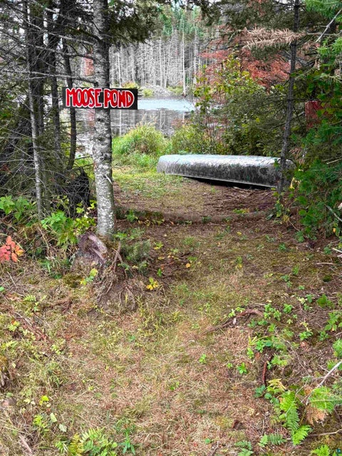 Tiny photo for 3382 God's Wilderness Rd, Finland, MN 55603 (MLS # 6127844)