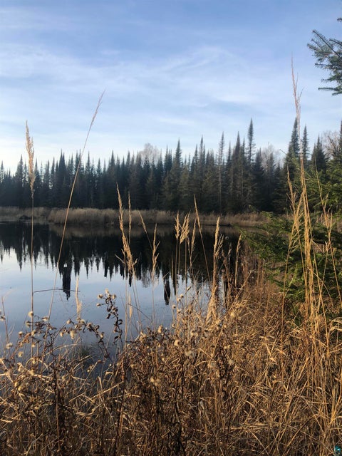 Tiny photo for 3382 God's Wilderness Rd, Finland, MN 55603 (MLS # 6127844)