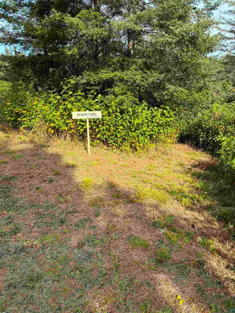 Tiny photo for 3382 God's Wilderness Rd, Finland, MN 55603 (MLS # 6127844)