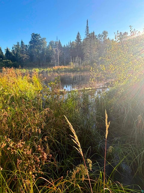Tiny photo for 3382 God's Wilderness Rd, Finland, MN 55603 (MLS # 6127844)