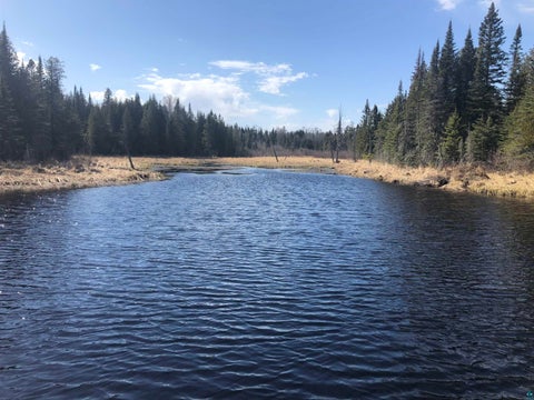 Tiny photo for 3382 God's Wilderness Rd, Finland, MN 55603 (MLS # 6127844)