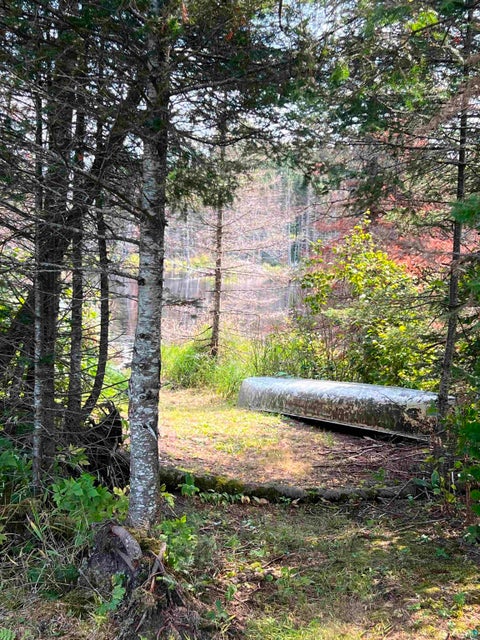 Tiny photo for 3382 God's Wilderness Rd, Finland, MN 55603 (MLS # 6127844)