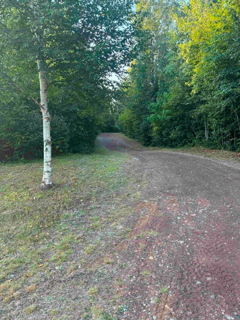 Tiny photo for 3382 God's Wilderness Rd, Finland, MN 55603 (MLS # 6127844)
