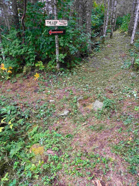 Tiny photo for 3382 God's Wilderness Rd, Finland, MN 55603 (MLS # 6127844)