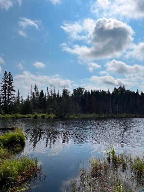 Tiny photo for 3382 God's Wilderness Rd, Finland, MN 55603 (MLS # 6127844)