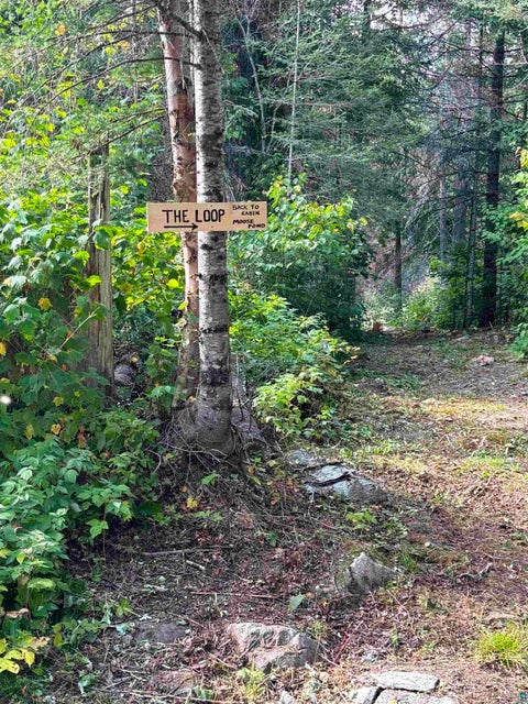 Tiny photo for 3382 God's Wilderness Rd, Finland, MN 55603 (MLS # 6127844)
