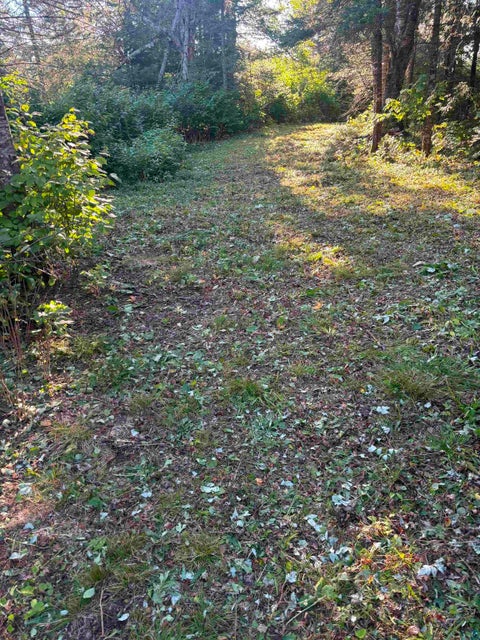 Tiny photo for 3382 God's Wilderness Rd, Finland, MN 55603 (MLS # 6127844)