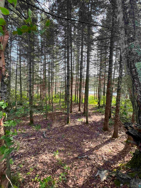 Tiny photo for 3382 God's Wilderness Rd, Finland, MN 55603 (MLS # 6127844)
