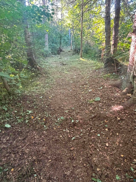 Tiny photo for 3382 God's Wilderness Rd, Finland, MN 55603 (MLS # 6127844)