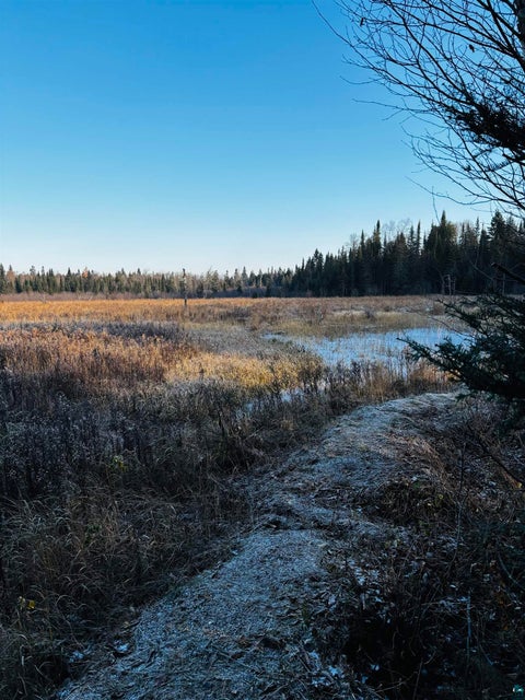 Tiny photo for 3382 God's Wilderness Rd, Finland, MN 55603 (MLS # 6127844)