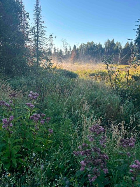 Tiny photo for 3382 God's Wilderness Rd, Finland, MN 55603 (MLS # 6127844)
