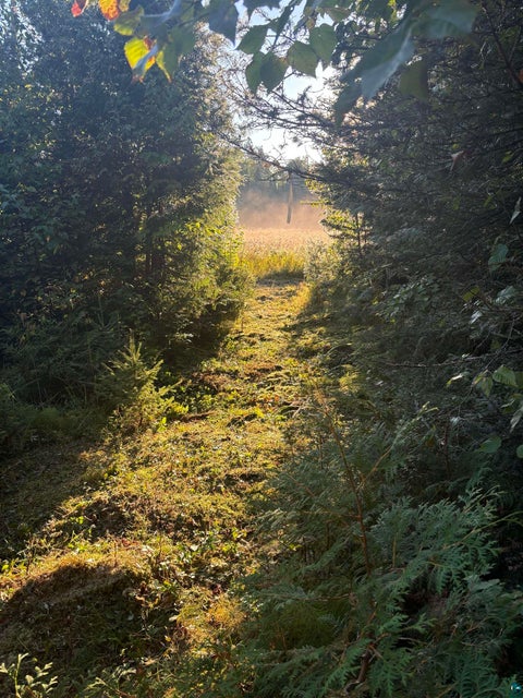 Tiny photo for 3382 God's Wilderness Rd, Finland, MN 55603 (MLS # 6127844)
