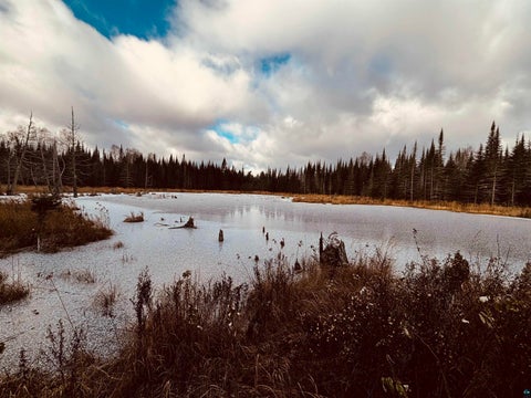 Tiny photo for 3382 God's Wilderness Rd, Finland, MN 55603 (MLS # 6127844)
