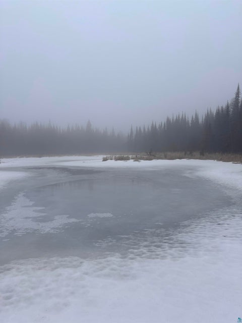 Tiny photo for 3382 God's Wilderness Rd, Finland, MN 55603 (MLS # 6127844)