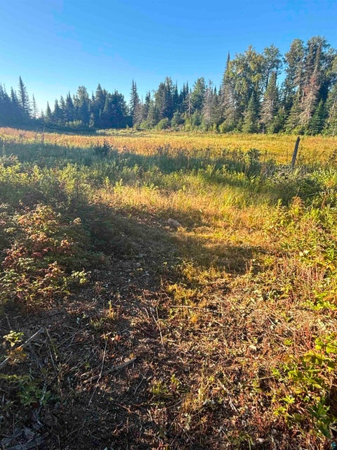 Tiny photo for 3382 God's Wilderness Rd, Finland, MN 55603 (MLS # 6127844)
