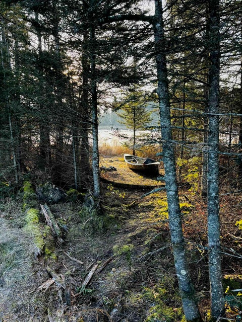 Tiny photo for 3382 God's Wilderness Rd, Finland, MN 55603 (MLS # 6127844)