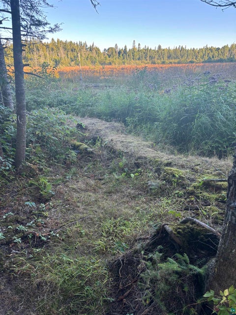 Tiny photo for 3382 God's Wilderness Rd, Finland, MN 55603 (MLS # 6127844)