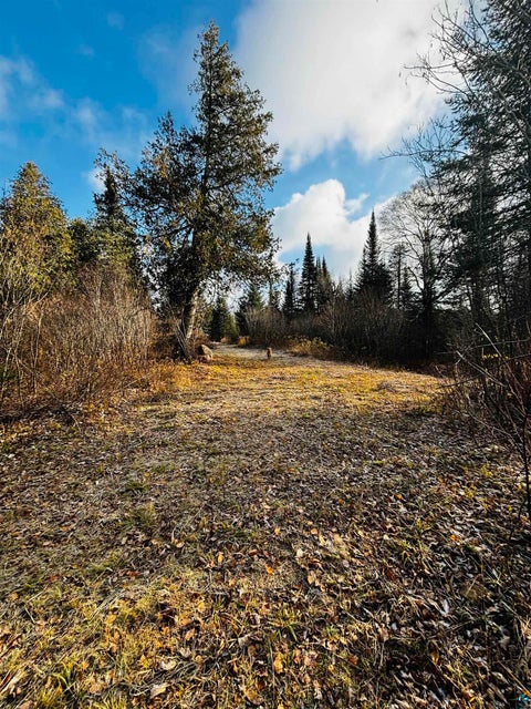 Tiny photo for 3382 God's Wilderness Rd, Finland, MN 55603 (MLS # 6127844)