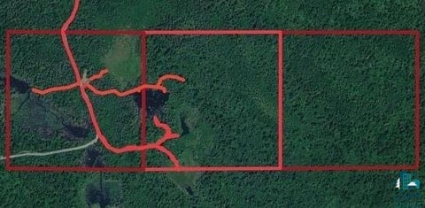 Tiny photo for 3382 God's Wilderness Rd, Finland, MN 55603 (MLS # 6127844)