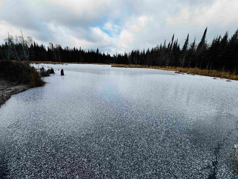 Tiny photo for 3382 God's Wilderness Rd, Finland, MN 55603 (MLS # 6127844)