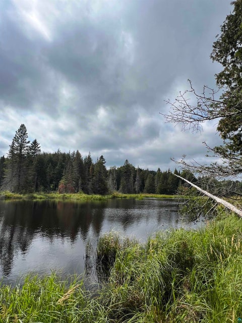 Tiny photo for 3382 God's Wilderness Rd, Finland, MN 55603 (MLS # 6127844)