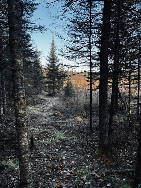 Tiny photo for 3382 God's Wilderness Rd, Finland, MN 55603 (MLS # 6127844)