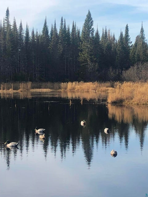 Tiny photo for 3382 God's Wilderness Rd, Finland, MN 55603 (MLS # 6127844)