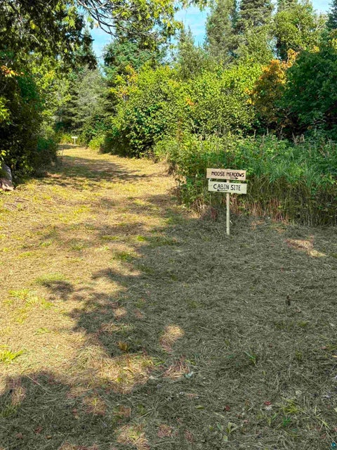 Tiny photo for 3382 God's Wilderness Rd, Finland, MN 55603 (MLS # 6127844)