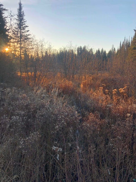 Tiny photo for 3382 God's Wilderness Rd, Finland, MN 55603 (MLS # 6127844)