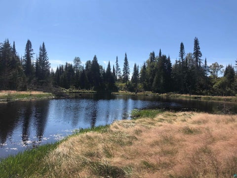Tiny photo for 3382 God's Wilderness Rd, Finland, MN 55603 (MLS # 6127844)