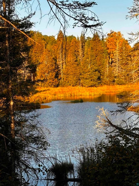 Tiny photo for 3382 God's Wilderness Rd, Finland, MN 55603 (MLS # 6127844)