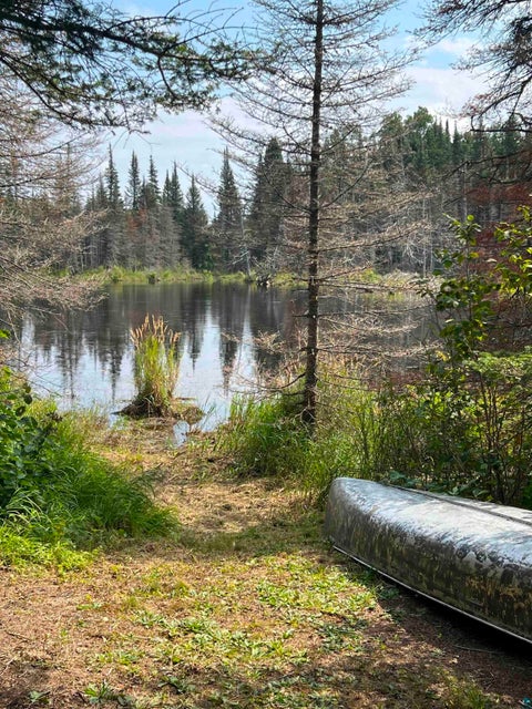 Tiny photo for 3382 God's Wilderness Rd, Finland, MN 55603 (MLS # 6127844)
