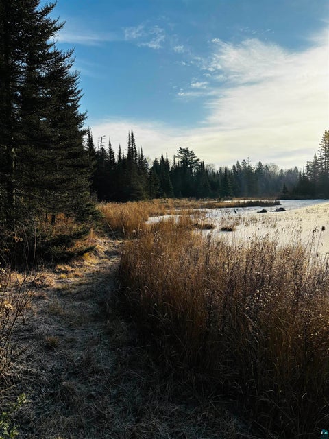 Tiny photo for 3382 God's Wilderness Rd, Finland, MN 55603 (MLS # 6127844)