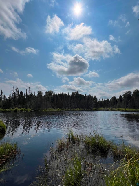 Tiny photo for 3382 God's Wilderness Rd, Finland, MN 55603 (MLS # 6127844)