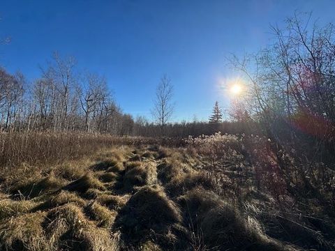 Tiny photo for 5 Martin Rd, Duluth, MN 55811 (MLS # 6122955)