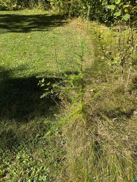 Tiny photo for 5551 McQuade Rd, Duluth, MN 55804 (MLS # 6128125)
