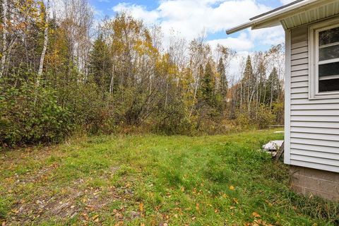 Tiny photo for 1041 Main St, Beaver Bay, MN 55601 (MLS # 6122697)
