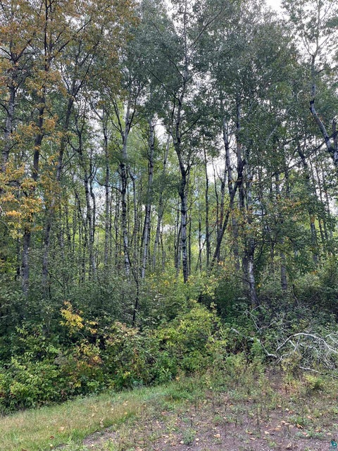 Tiny photo for 444 Lavaque Bypass, Hermantown, MN 55811 (MLS # 6128173)