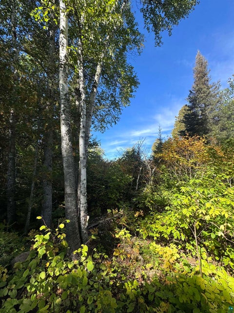 Tiny photo for 85 Powers Lake Rd, Hovland, MN 55606 (MLS # 6128423)