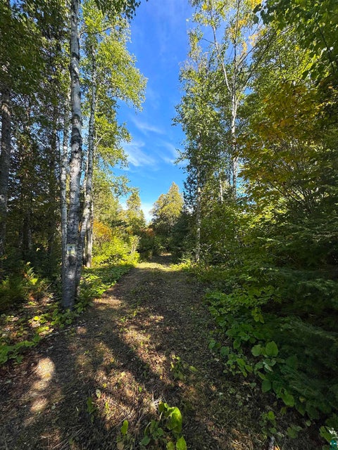 Tiny photo for 85 Powers Lake Rd, Hovland, MN 55606 (MLS # 6128423)