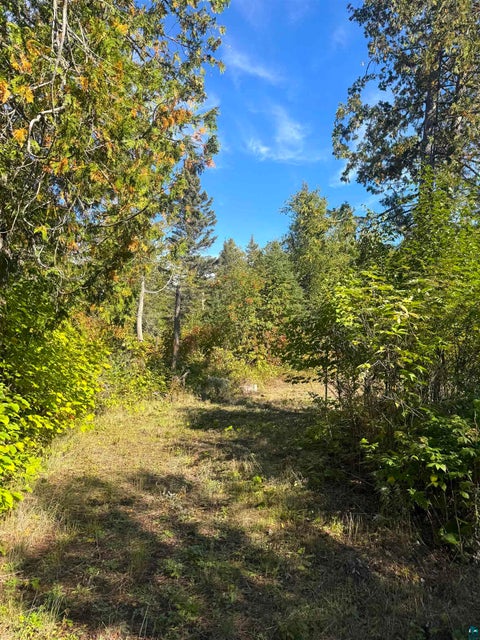 Tiny photo for 85 Powers Lake Rd, Hovland, MN 55606 (MLS # 6128423)
