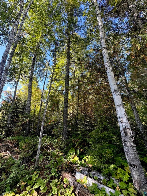 Tiny photo for 85 Powers Lake Rd, Hovland, MN 55606 (MLS # 6128423)