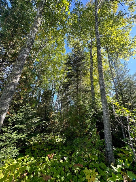 Tiny photo for 85 Powers Lake Rd, Hovland, MN 55606 (MLS # 6128423)