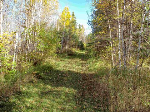 Tiny photo for ABC Bally Creek Rd, Grand Marais, MN 55604 (MLS # 6122477)