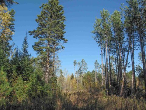 Tiny photo for ABC Bally Creek Rd, Grand Marais, MN 55604 (MLS # 6122477)