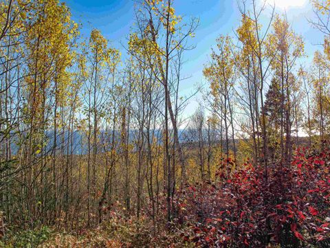 Tiny photo for ABC Bally Creek Rd, Grand Marais, MN 55604 (MLS # 6122477)