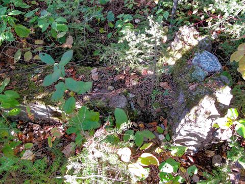 Tiny photo for ABC Bally Creek Rd, Grand Marais, MN 55604 (MLS # 6122477)