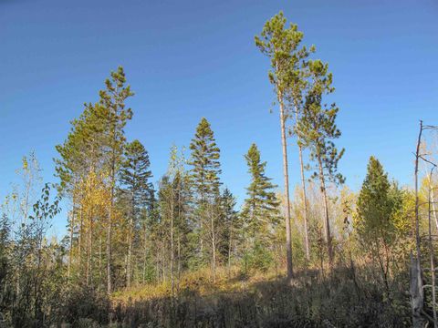 Tiny photo for ABC Bally Creek Rd, Grand Marais, MN 55604 (MLS # 6122477)